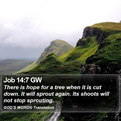 Job 14:7 GW Bible Verse Image