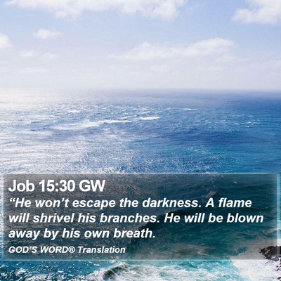 Job 15:30 GW Bible Verse Image