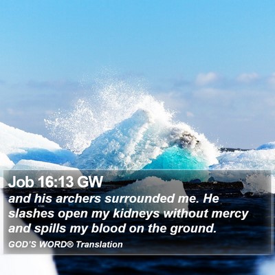 Job 16:13 GW Bible Verse Image