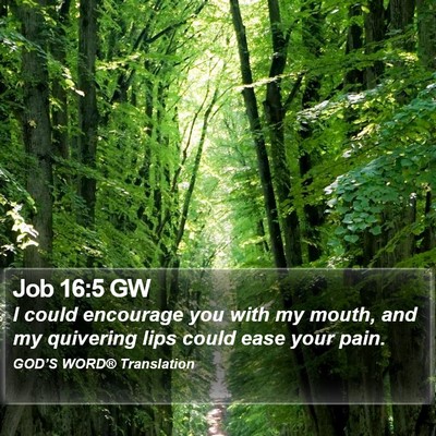 Job 16:5 GW Bible Verse Image
