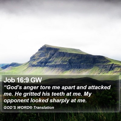 Job 16:9 GW Bible Verse Image