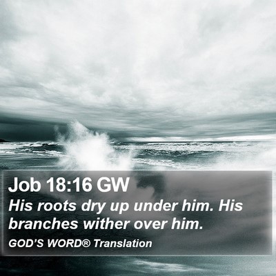 Job 18:16 GW Bible Verse Image