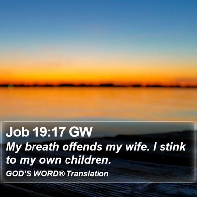 Job 19:17 GW Bible Verse Image