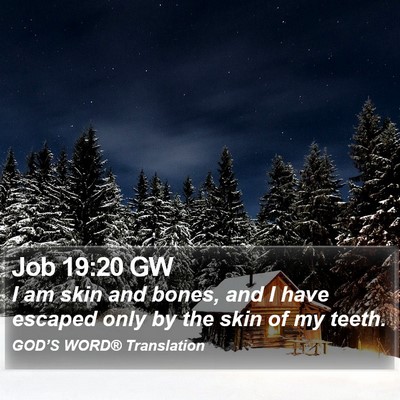 Job 19:20 GW Bible Verse Image