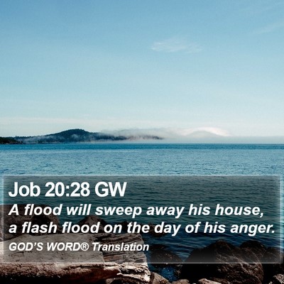 Job 20:28 GW Bible Verse Image