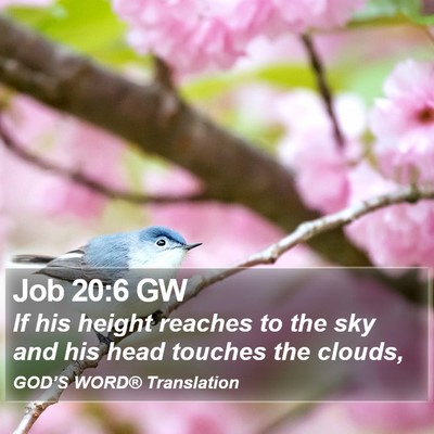 Job 20:6 GW Bible Verse Image