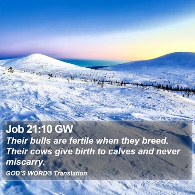 Job 21:10 GW Bible Verse Image