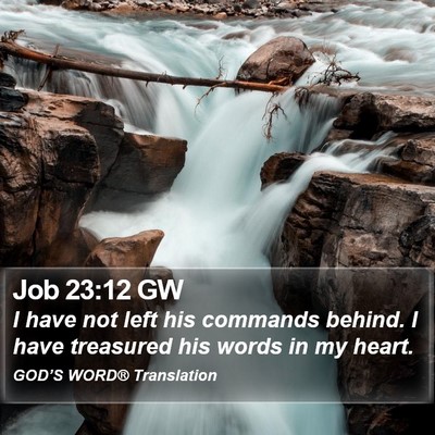 Job 23:12 GW Bible Verse Image