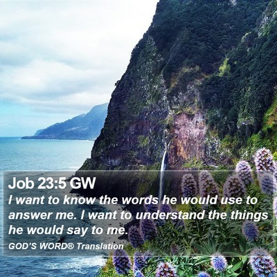 Job 23:5 GW Bible Verse Image