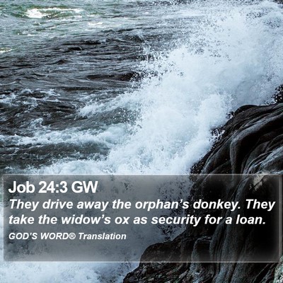 Job 24:3 GW Bible Verse Image