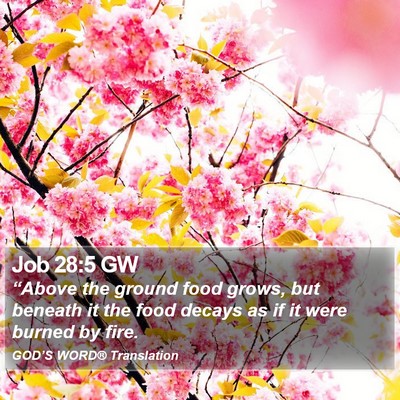 Job 28:5 GW Bible Verse Image