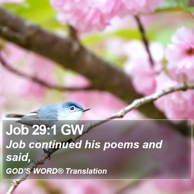 Job 29:1 GW Bible Verse Image