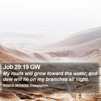 Job 29:19 GW Bible Verse Image