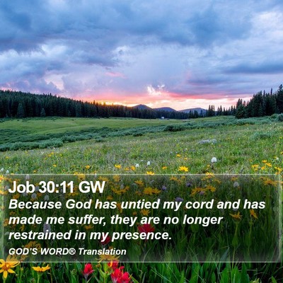 Job 30:11 GW Bible Verse Image