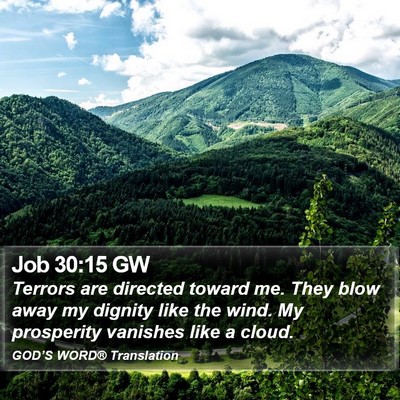 Job 30:15 GW Bible Verse Image