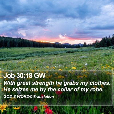 Job 30:18 GW Bible Verse Image