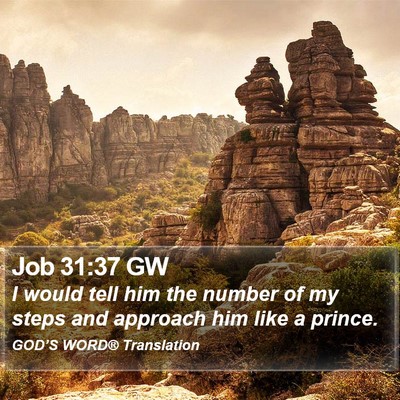 Job 31:37 GW Bible Verse Image