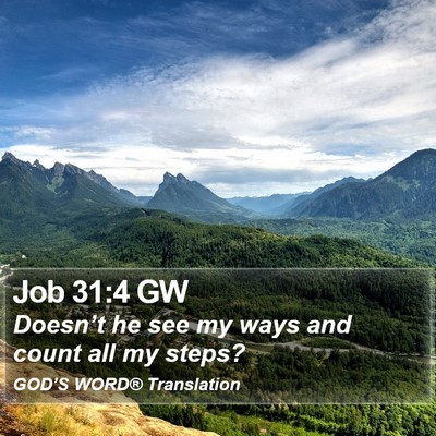 Job 31:4 GW Bible Verse Image