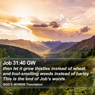 Job 31:40 GW Bible Verse Image