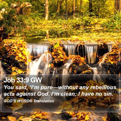Job 33:9 GW Bible Verse Image