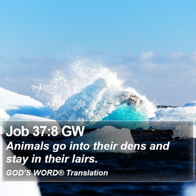 Job 37:8 GW Bible Verse Image