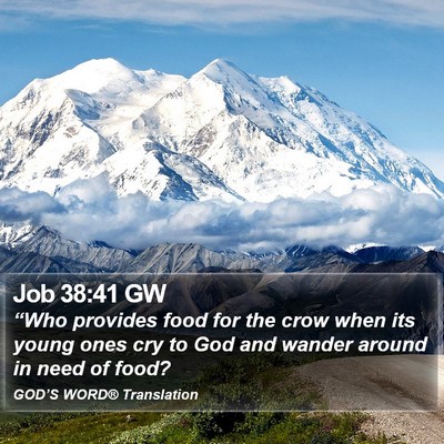 Job 38:41 GW Bible Verse Image