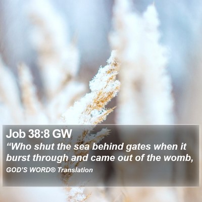 Job 38:8 GW Bible Verse Image