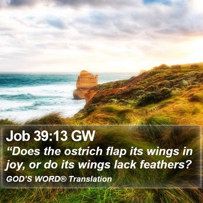 Job 39:13 GW Bible Verse Image