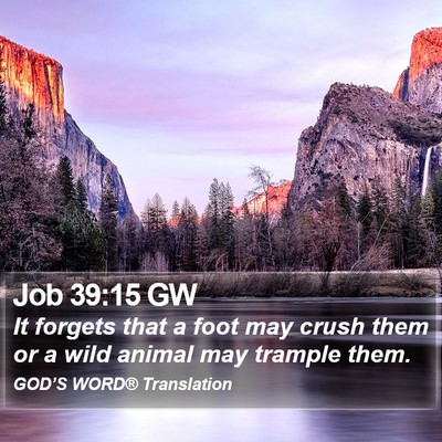 Job 39:15 GW Bible Verse Image