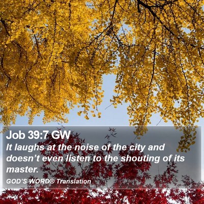 Job 39:7 GW Bible Verse Image