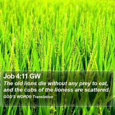 Job 4:11 GW Bible Verse Image