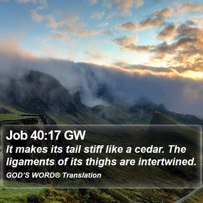 Job 40:17 GW Bible Verse Image
