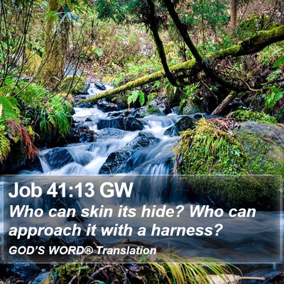 Job 41:13 GW Bible Verse Image