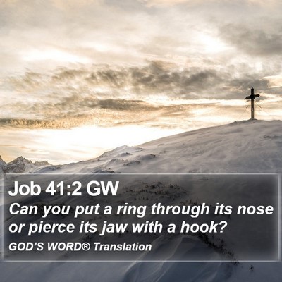 Job 41:2 GW Bible Verse Image