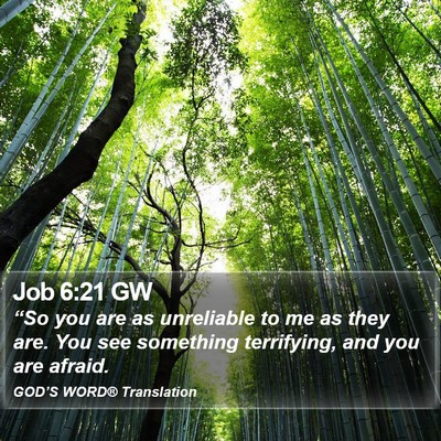 Job 6:21 GW Bible Verse Image
