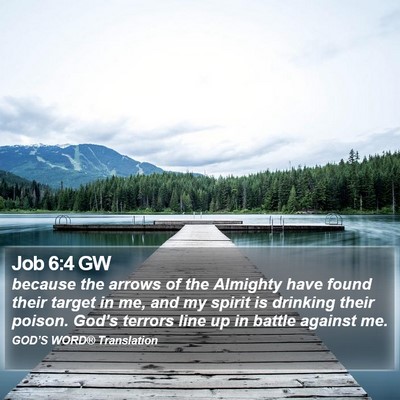 Job 6:4 GW Bible Verse Image