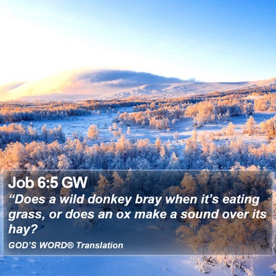 Job 6:5 GW Bible Verse Image