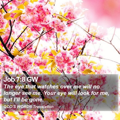 Job 7:8 GW Bible Verse Image