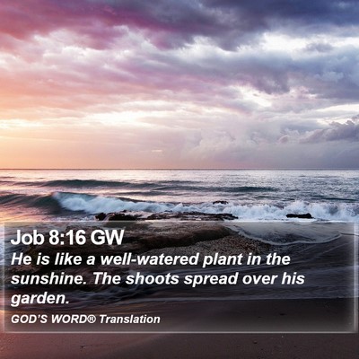 Job 8:16 GW Bible Verse Image