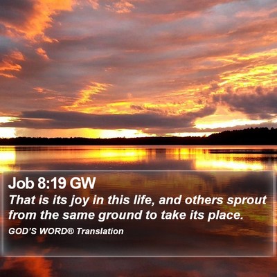 Job 8:19 GW Bible Verse Image