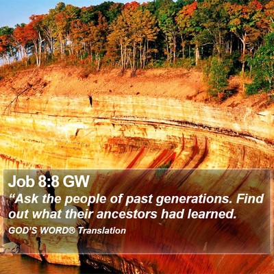 Job 8:8 GW Bible Verse Image
