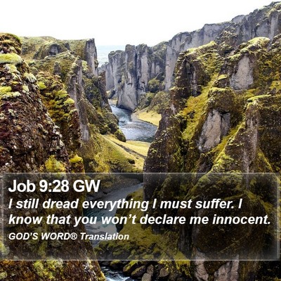 Job 9:28 GW Bible Verse Image