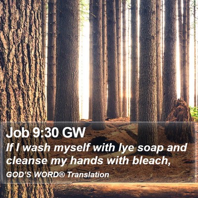 Job 9:30 GW Bible Verse Image