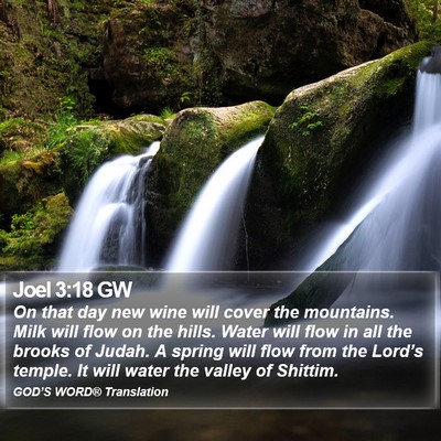 Joel 3:18 GW Bible Verse Image