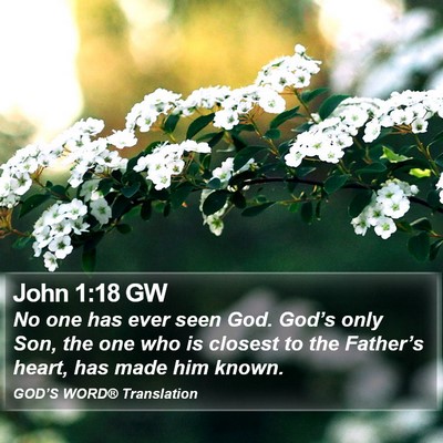 John 1:18 GW Bible Verse Image