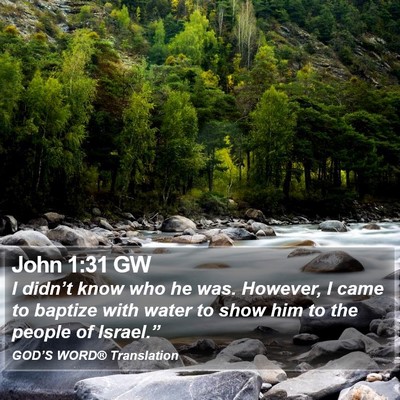 John 1:31 GW Bible Verse Image