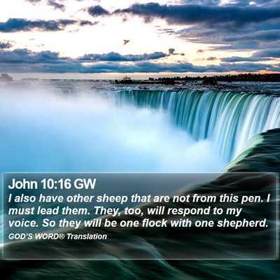 John 10:16 GW Bible Verse Image