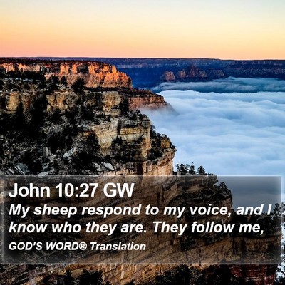 John 10:27 GW Bible Verse Image