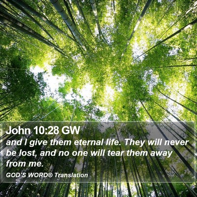 John 10:28 GW Bible Verse Image