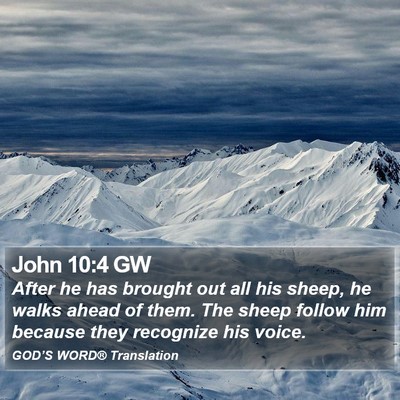 John 10:4 GW Bible Verse Image